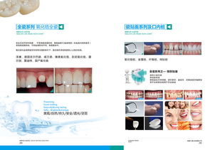 义齿加工厂产品宣传画册与LED灯箱制作方案